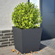 VIDAXL -Pflanzer 2 ST 50x50x50 cm Stahl Anthrazit -ausgelöst