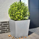 Vidaxl -Pflanzer 2 ST 50x50x50 cm verzinkter Stahl