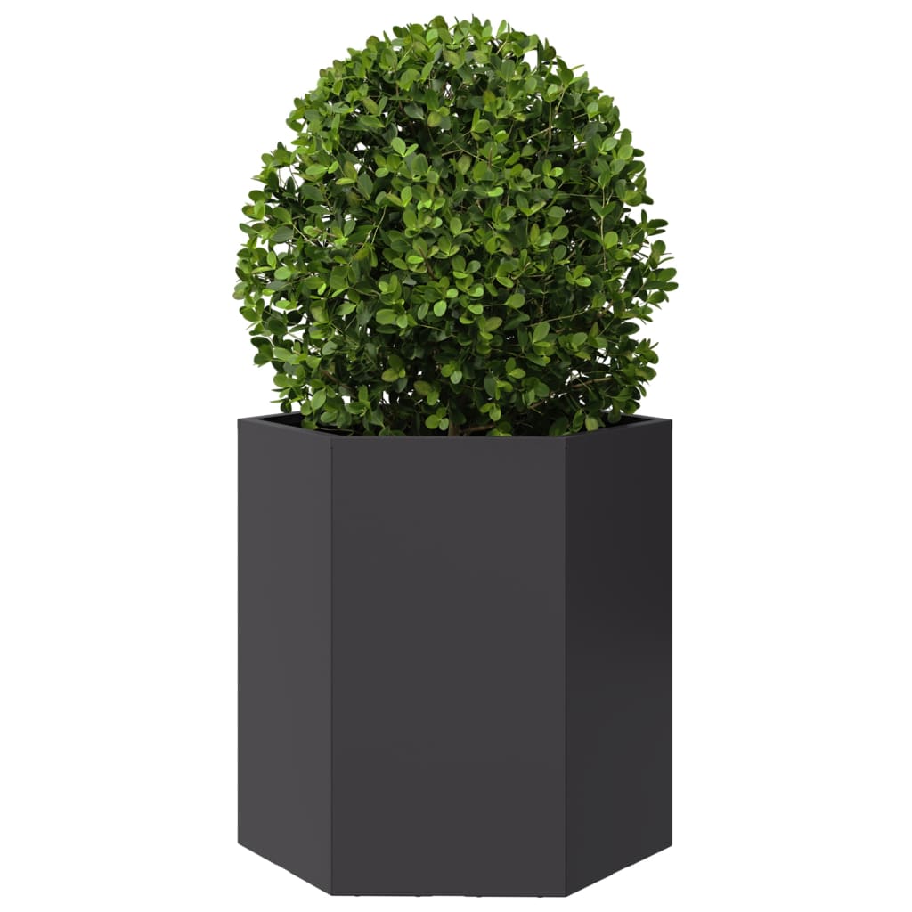Vidaxl Plannet Hexagon 46x40x45 cm Stahl schwarz
