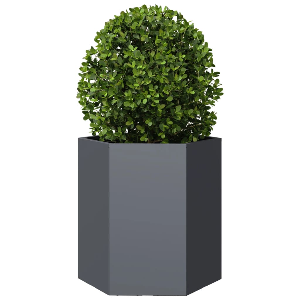 Vidaxl Plannet Hexagon 46x40x45 cm Stahl Anthrazit -gelöscht