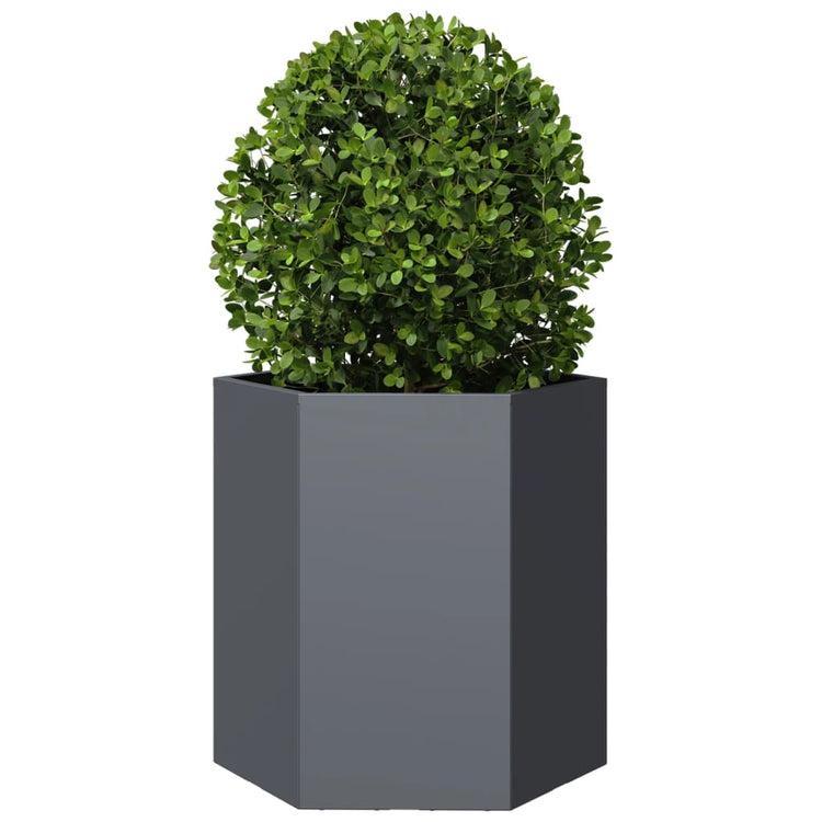 Vidaxl Plannet Hexagon 46x40x45 cm Stahl Anthrazit -gelöscht
