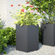 Vidaxl Pflanzer 2 St Hexagon 46x40x45 cm Stahl -Anthrazit -Verschärfen