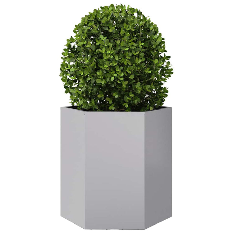 Vidaxl Plannet Hexagon 46x40x45 cm verzinkter Stahl