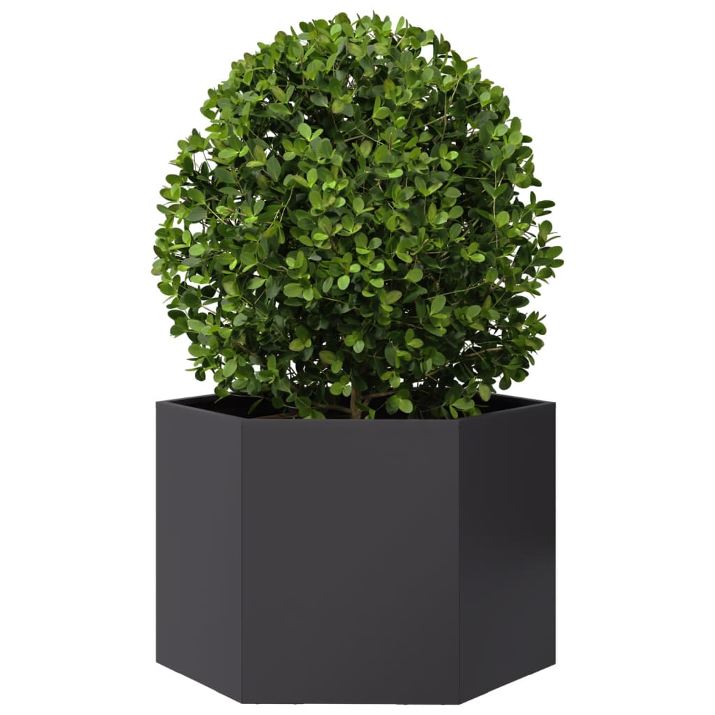 VIDAXL -Pflanzer Bennet Hexagon 69x60x45 cm Stahl schwarz