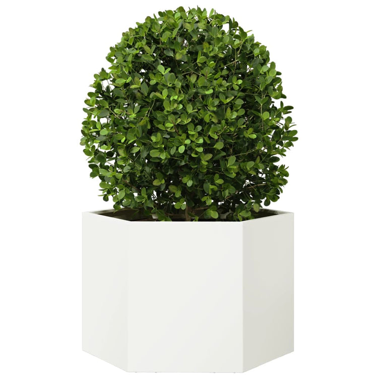 Vidaxl Plannet Hexagon 69x60x45 cm Stahl weiß