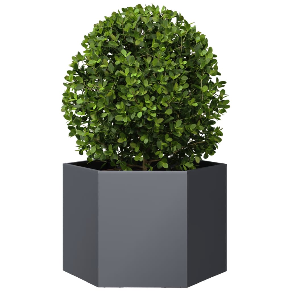 VIDAXL -Pflanzer Bennet Hexagon 69x60x45 cm Stahl -Anthrazit -Verschärfen