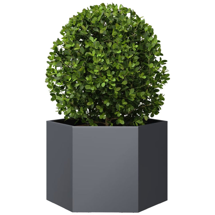 VIDAXL -Pflanzer Bennet Hexagon 69x60x45 cm Stahl -Anthrazit -Verschärfen