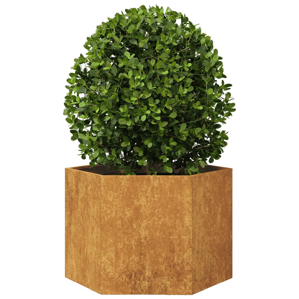 Vidaxl Plannet Hexagon 69x60x45 cm Wetterstahl