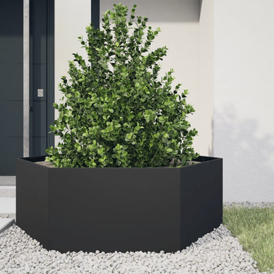 VIDAXL -Pflanzer Bennet Hexagon 138x120x45 cm Stahl schwarz
