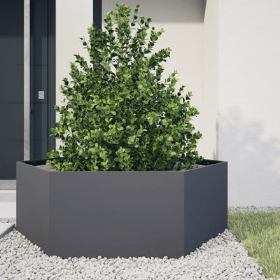 VIDAXL -Pflanzer Bennet Hexagon 138x120x45 cm Stahl -Anthrazit -Verschärft
