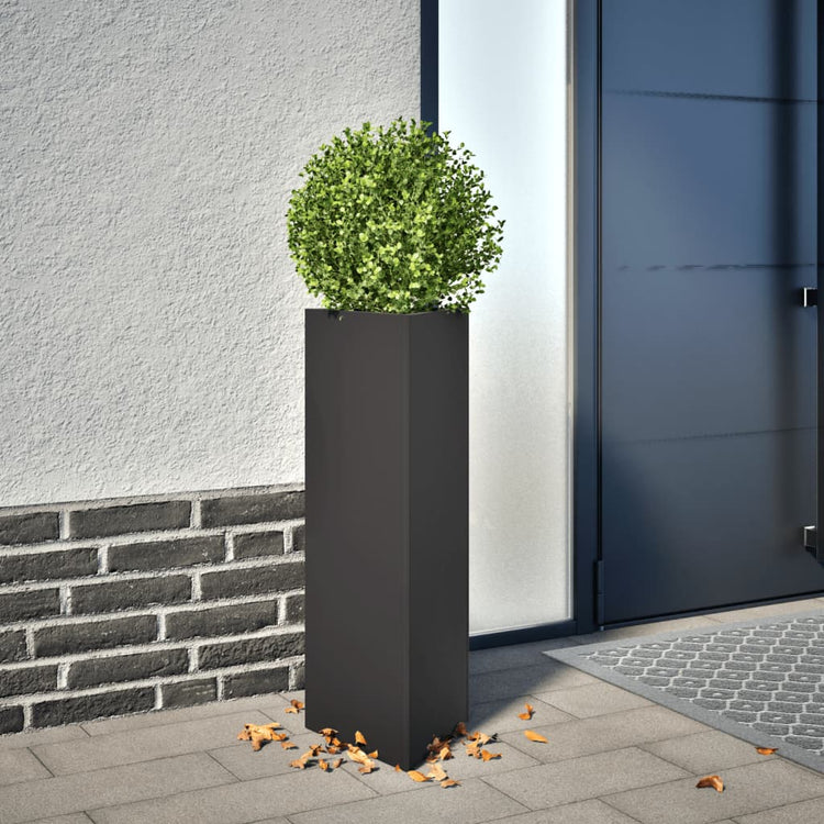 Vidaxl Pflanzer 2 ST Dreieck 30x26x75 cm Stahlschwarz