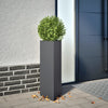 VIDAXL -Pflanzer 2 ST -Dreieck 30x26x75 cm Stahl Anthrazit -gelöscht