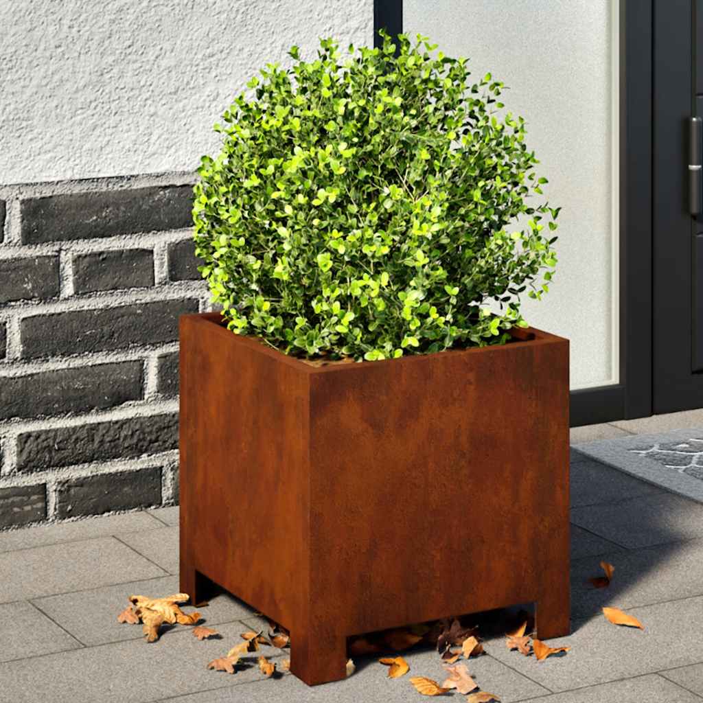 Vidaxl Pflanzer 2 ST 30x30x30 cm Wetterstahl