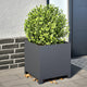 VIDAXL -Pflanzer 2 ST 40x40x40 cm Stahl Anthrazit -geläutet