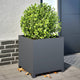 VIDAXL -Planungsbox 50x50x50 cm Stahl -Anthrazit -geläutet