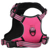 Vidaxl Hundeband mit Gürtel und Kragen verstellbar m Pink