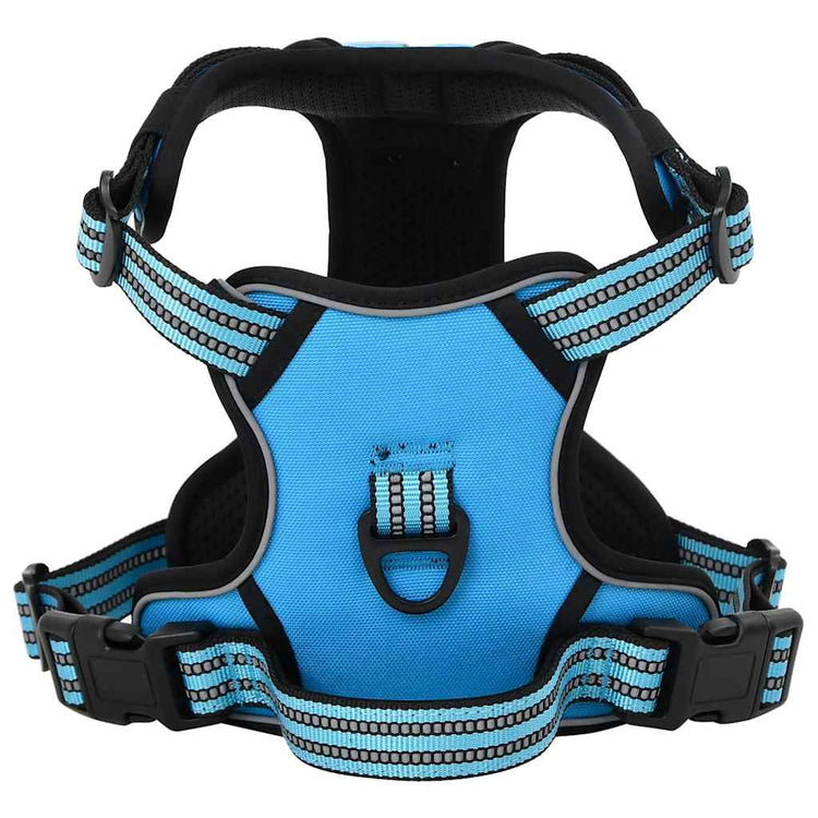 Vidaxl Hundeband mit Gürtel und Kragen einstellbarer xl blau
