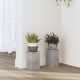 VIDAXL -Anpflanzung 2 PCs 10x10x18 cm verarbeiteter Holzbetonpreis