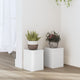 VIDAXL -Pflanzenstandards 2 ST 15x15x20 cm verarbeitetes Holz weiß