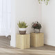 VIDAXL -Pflanzenstandards 2 ST 15x15x20 cm verarbeitetes Holz Sonoma Eiche