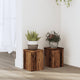 VIDAXL -Pflanzenstandards 2 ST 15x15x20 cm verarbeitetes Holz Oldholz gefärbt