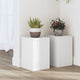 VIDAXL -Pflanzenstandards 2 ST 20x20x30 cm verarbeitetes Holz weiß