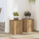 Vidaxx Pflanzenständer 2 Stück 25x25x35 cm Holz handwerkliche Eiche