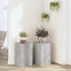 VIDAXL -Pflanzung Ständer 2 PCs 30x30x50 cm verarbeiteter Holzbetonpreis
