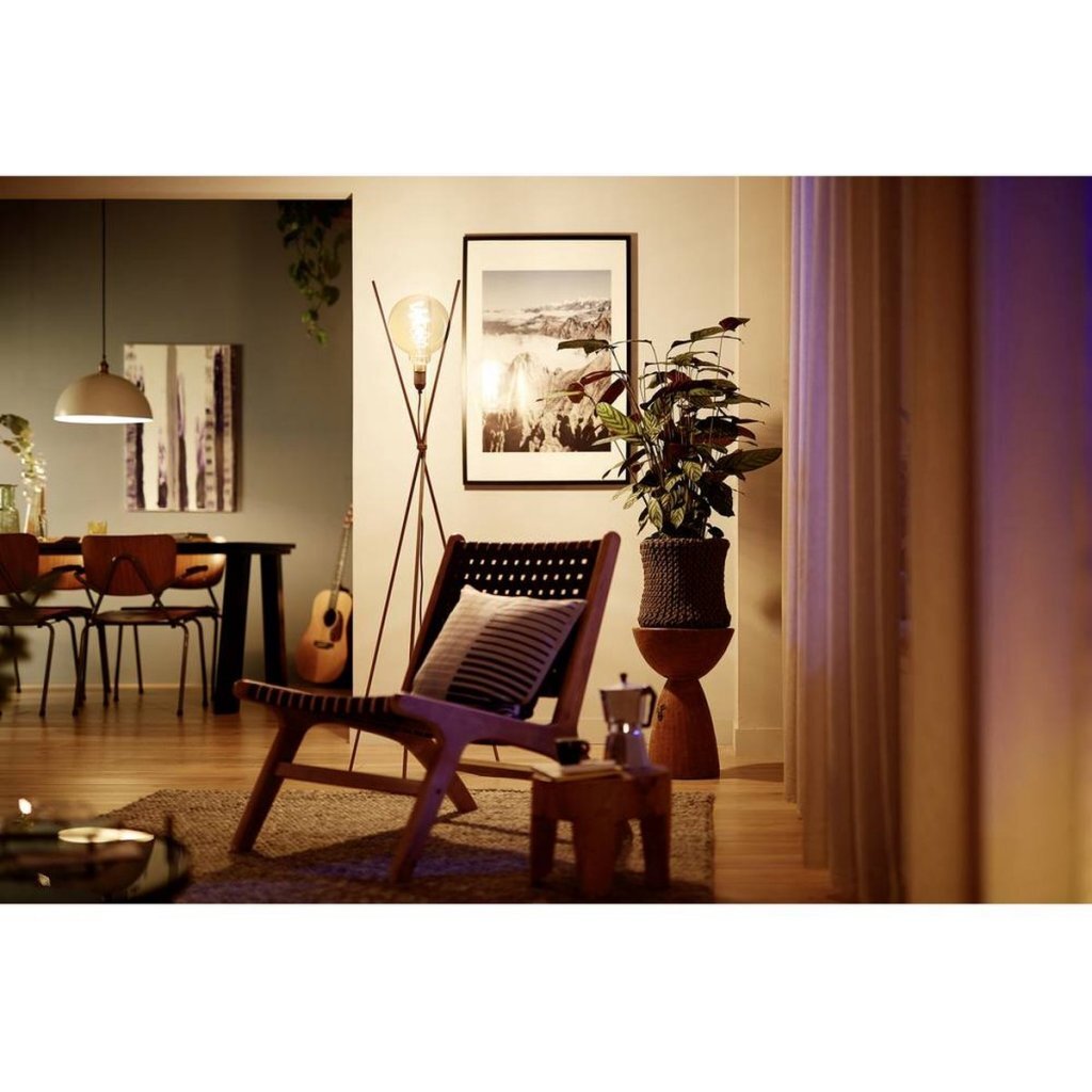 Philips Vintage LED dimmbarer Globus G95 E27 60W Braunglas