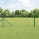 Vidaxxl-Zaun mit Pfosten grün 0,6 x 10 m aus Stahl und PVC