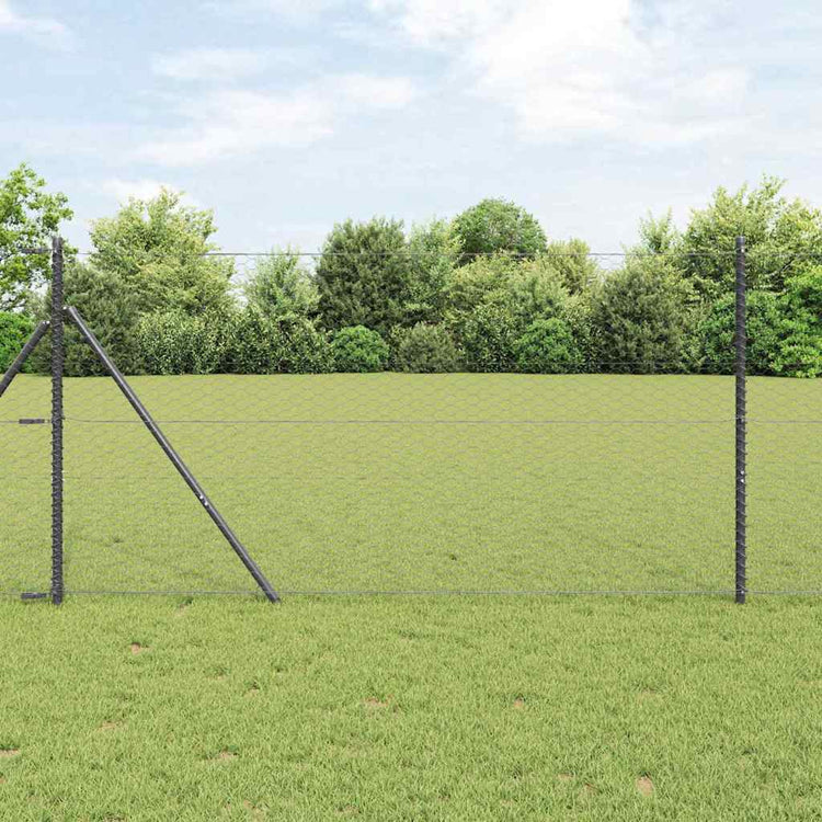 Vidaxl Zaunpfosten grau 25 x 1 m (36 mm Maschenweite) Stahl