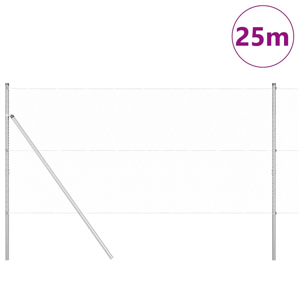 Vidaxl Zaunpfahl Silber 25 x 1 m (25 mm Maschenweite) Stahl