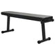 VidaXL Hantelbank schwarz 108 x 27 x 41 cm pulverbeschichteter Stahl