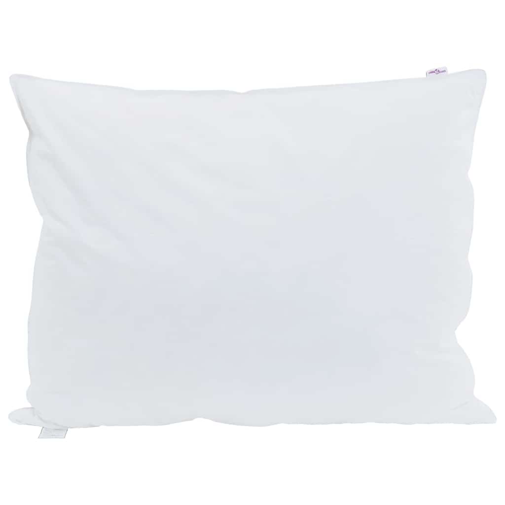 Vidaxxl Kissen mit Kissen 2 Stück weiße 50 x 75 cm Federn