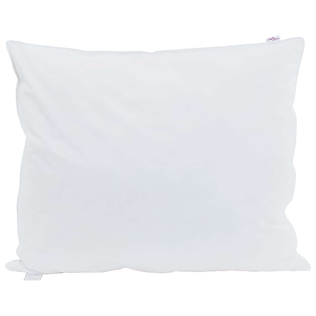 Vidaxxl Kissen mit Kissen 2 Stück weiße 60 x 70 cm Federn