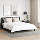 Vidaxxl pillow with cushion 2 pcs white 80 x 80 cm cotton