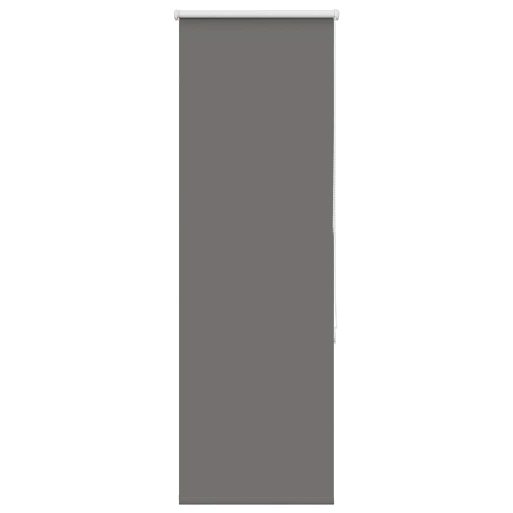 Vidaxx Verdunkelungsrollo 55x150cm Stoffbreite 50,7 cm Polyester