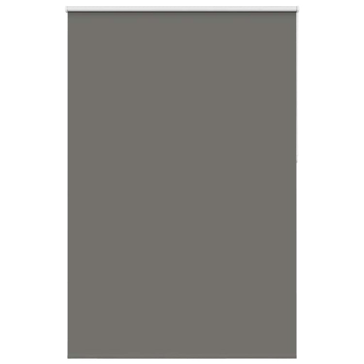 Vidaxx Verdunkelungsrollo 165x210 cm Stoffbreite 161,6 cm Grau
