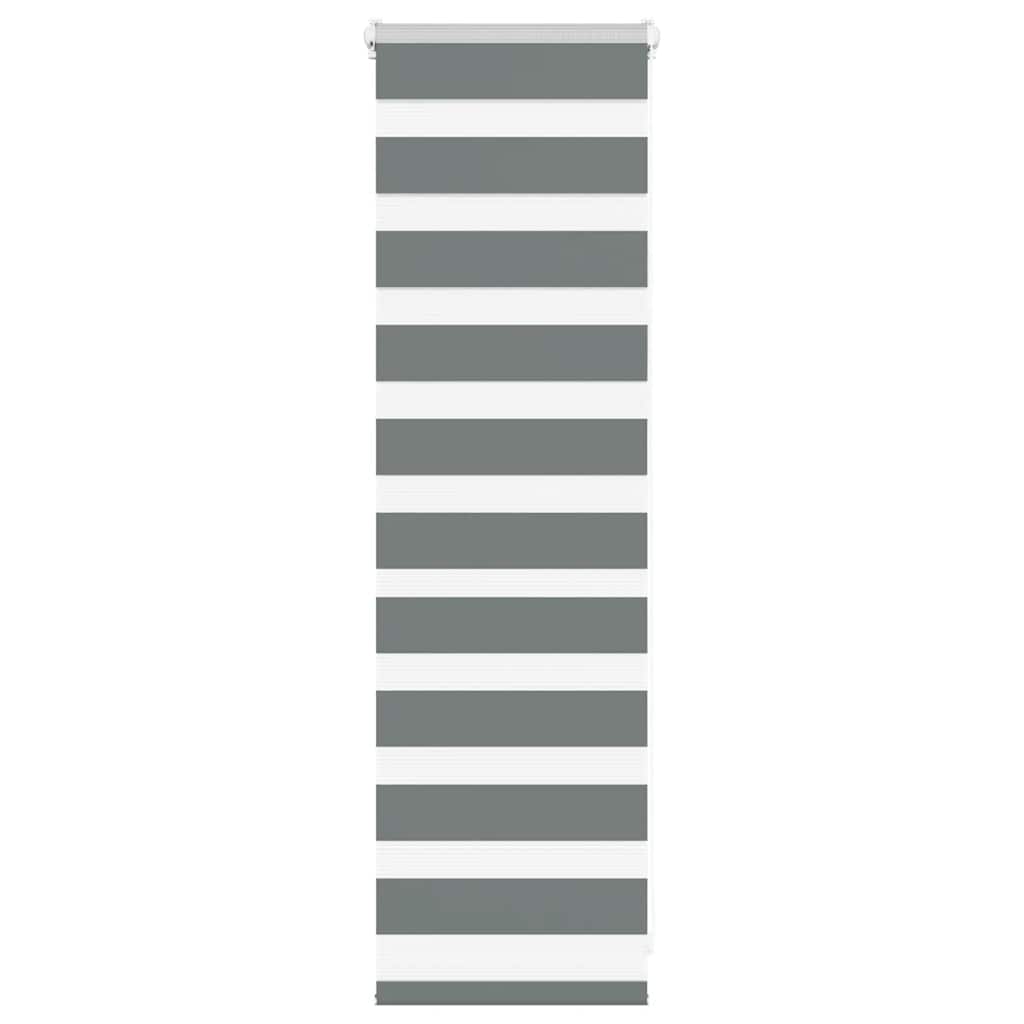 Vidaxl Zebra Roller Blind 40x100 cm Staubbreite 35,9 cm dunkelgrau