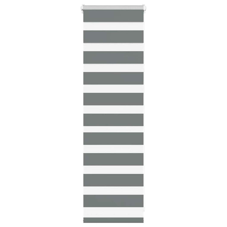 Vidaxl Zebra Roller Blind 40x100 cm Staubbreite 35,9 cm dunkelgrau