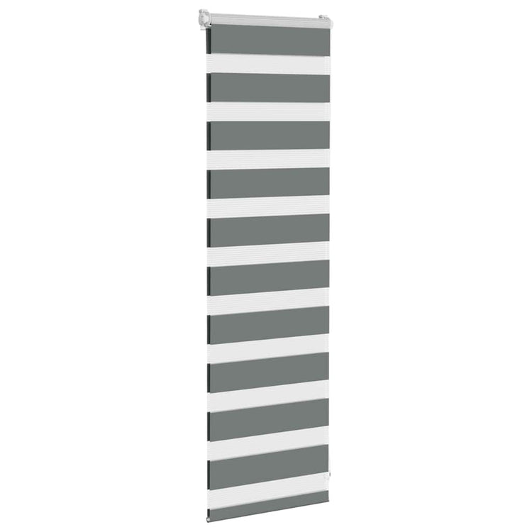 Vidaxl Zebra Roller Blind 40x100 cm Staubbreite 35,9 cm dunkelgrau