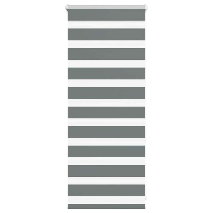 Vidaxl Zebra Roller Blind 55x100 cm Staubbreite 50,9 cm dunkelgrau