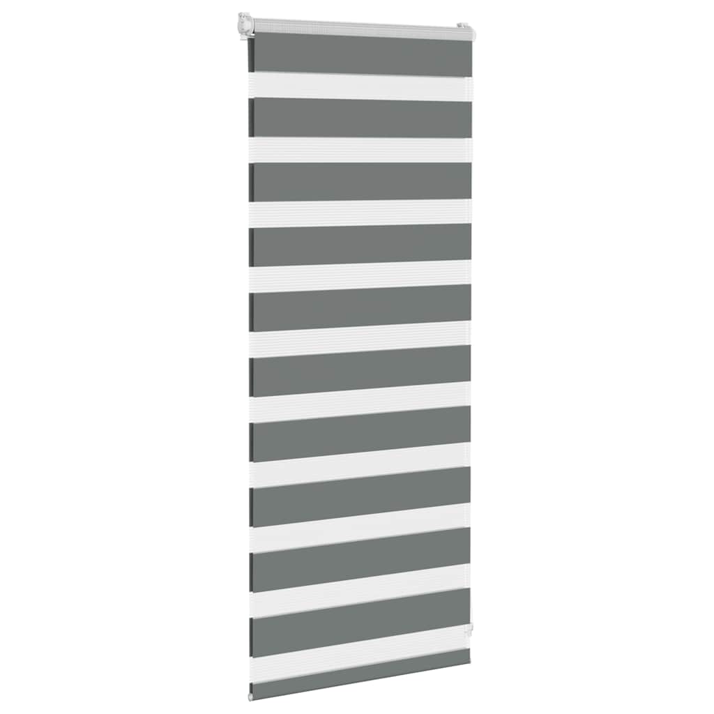 Vidaxl Zebra Roller Blind 55x100 cm Staubbreite 50,9 cm dunkelgrau