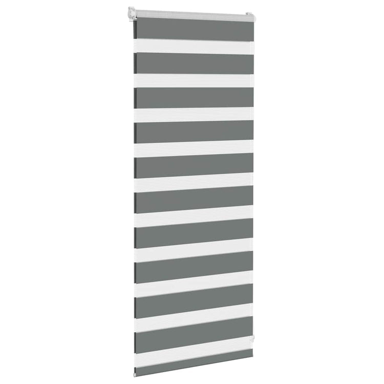 Vidaxl Zebra Roller Blind 55x100 cm Staubbreite 50,9 cm dunkelgrau
