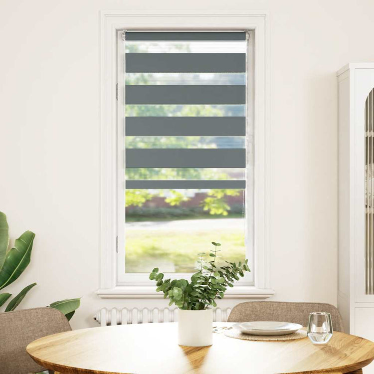 Vidaxl Zebra Roller Blind 60x100 cm Staubbreite dunkelgrau 55,9 cm
