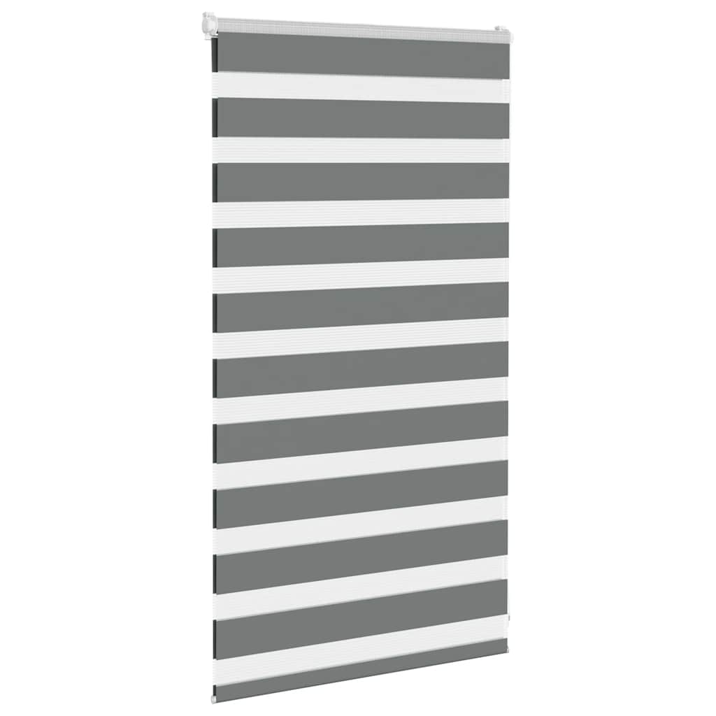 Vidaxl Zebra Roller Blind 75x100 cm Stoffbreite 70,9 cm dunkelgrau