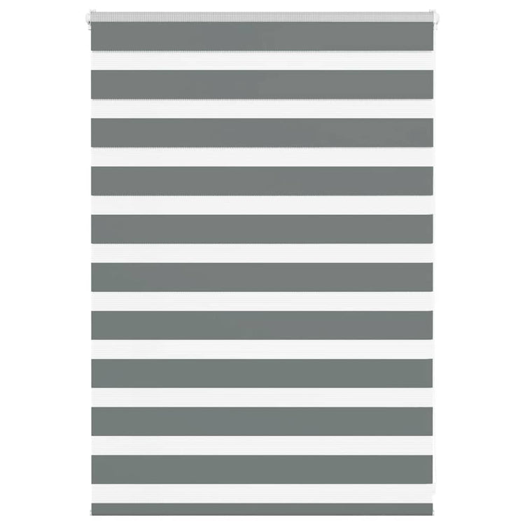 Vidaxl Zebra Roller Blind 100x100 cm Staubbreite 95,9 cm dunkelgrau