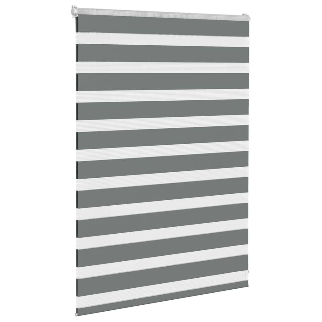 Vidaxl Zebra Roller Blind 100x100 cm Staubbreite 95,9 cm dunkelgrau