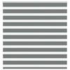 Vidaxl Zebra Roller Blind 145x100 cm Staubbreite 140,9 cm dunkelgrau