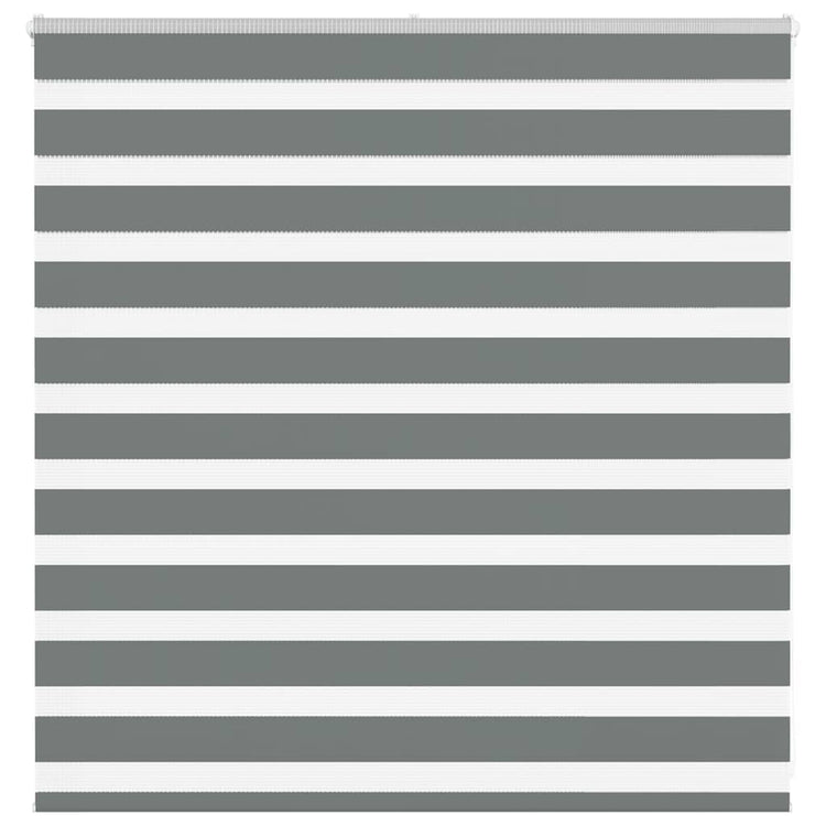 Vidaxl Zebra Roller Blind 145x100 cm Staubbreite 140,9 cm dunkelgrau
